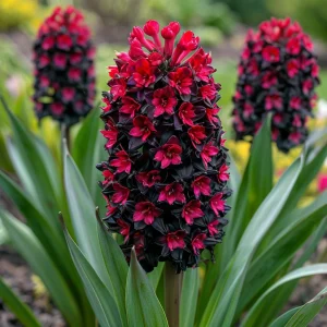 Гиацинт Джем Стоун купить по цене от 2099р. в интернет-магазине «Посадика» с доставкой почтой в в Омутнинске и по всей России – [изображение №1].