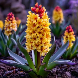 Гиацинт Миднайт Мистери купить по цене от 2099р. в интернет-магазине «Посадика» с доставкой почтой в в Омутнинске и по всей России – [изображение №1].