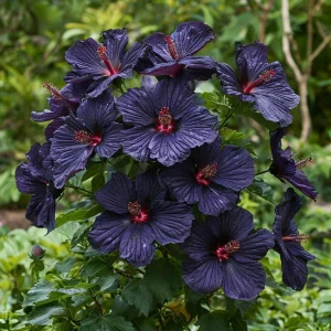 Гибискус Мэджик Момент купить по цене от 699р. в интернет-магазине «Посадика» с доставкой почтой в в Омутнинске и по всей России – [изображение №1].