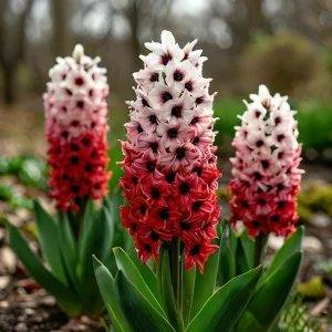 Гиацинт Скай Гарден купить по цене от 2099р. в интернет-магазине «Посадика» с доставкой почтой в в Омутнинске и по всей России – [изображение №1].