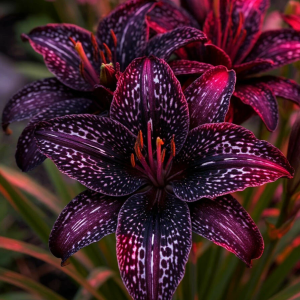 Лилейник Вояж купить по цене от 699р. в интернет-магазине «Посадика» с доставкой почтой в в Омутнинске и по всей России – [изображение №1].